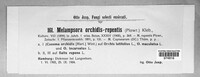 Melampsora epitea image